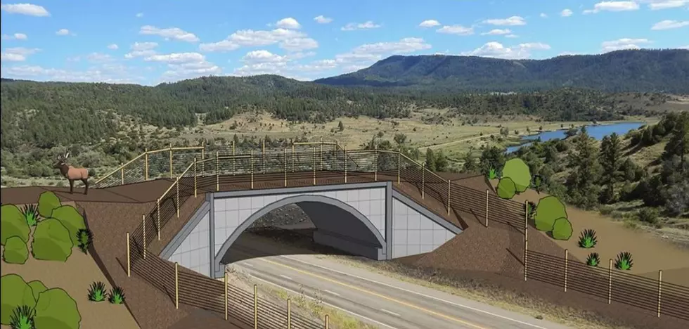New Colorado Wildlife Overpass Being Added in 2021