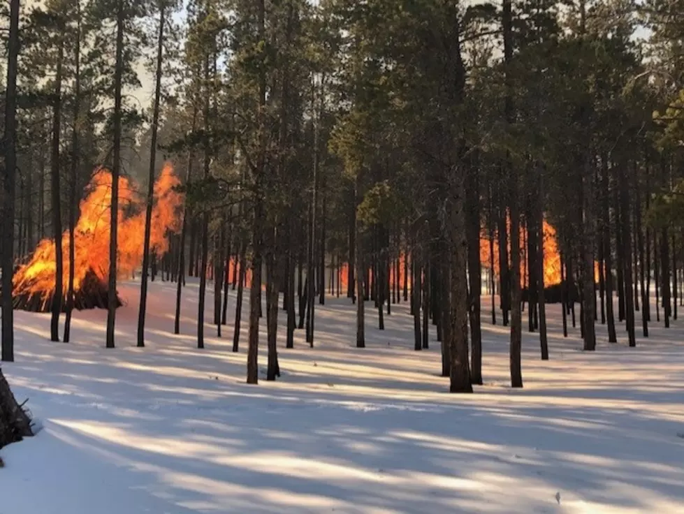 RMNP Announces Winter Pile Burning Operations