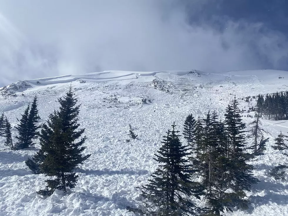 2 Dead After Separate Colorado Avalanches On Sunday
