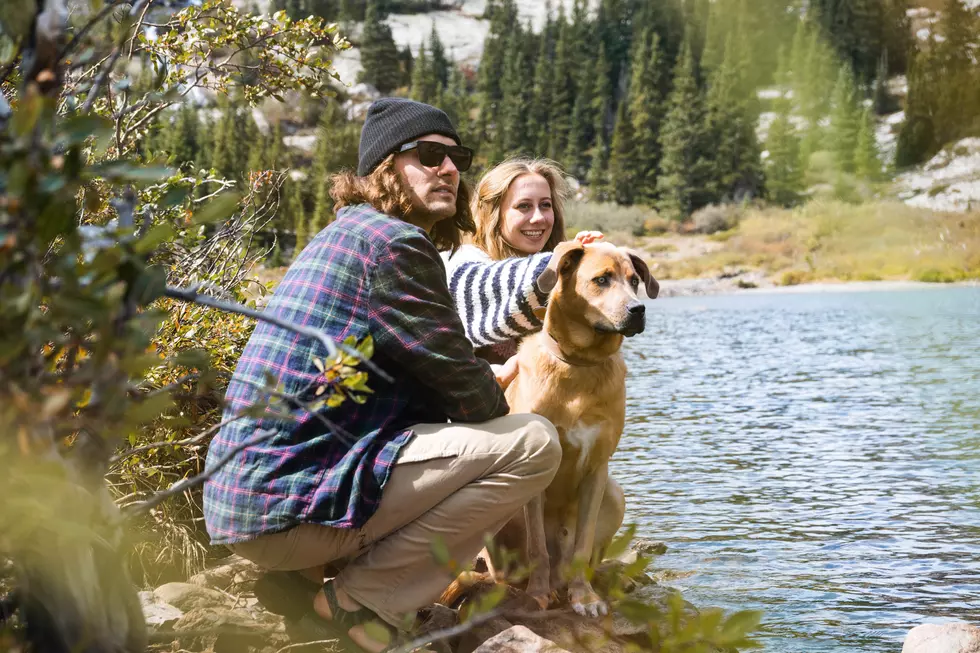 Townsquare Media’s My Dog Rox: Best Hiking Dog Contest