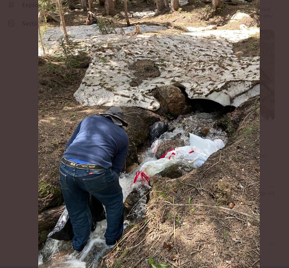 Man Caught Dumping Human Waste In Colorado Mountain Stream
