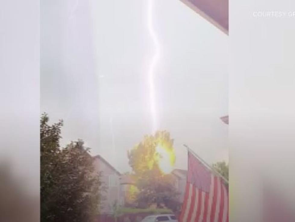 WATCH: The Moment Lightning Strikes A Tree In Parker
