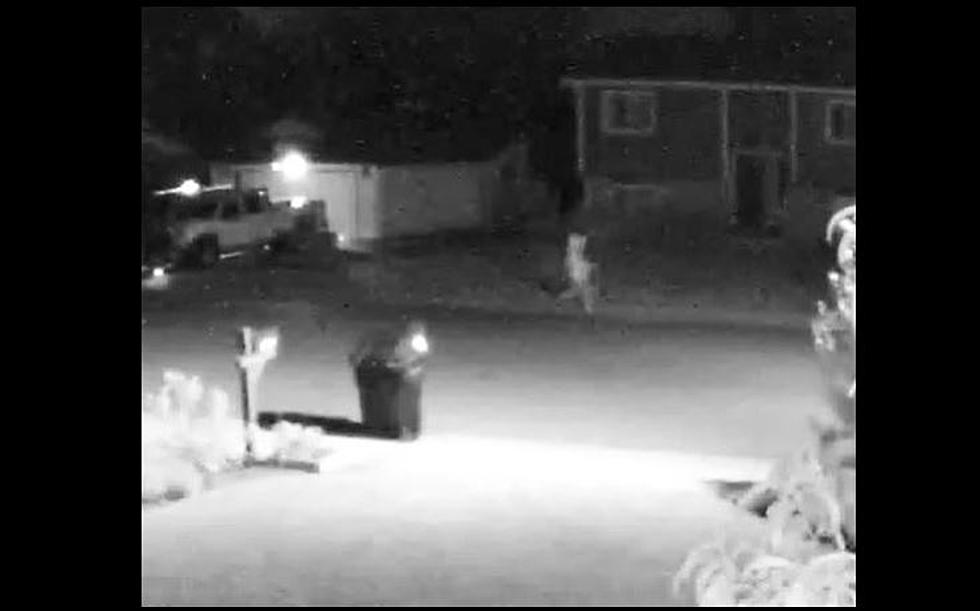 Greeley PD Investigating Homicide, Pics Show Possible Suspects