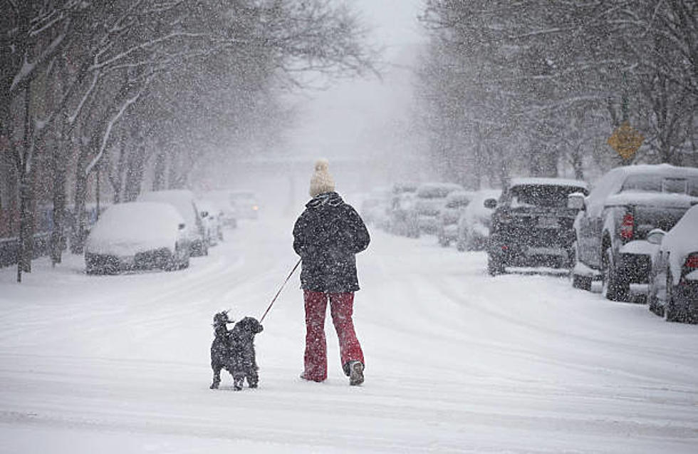 Will We Really See Snow In CO Next Month? History Says We Might