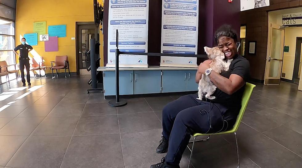 Woman Miraculously Reunited With Her Dog In Denver After Missing For 7 Months