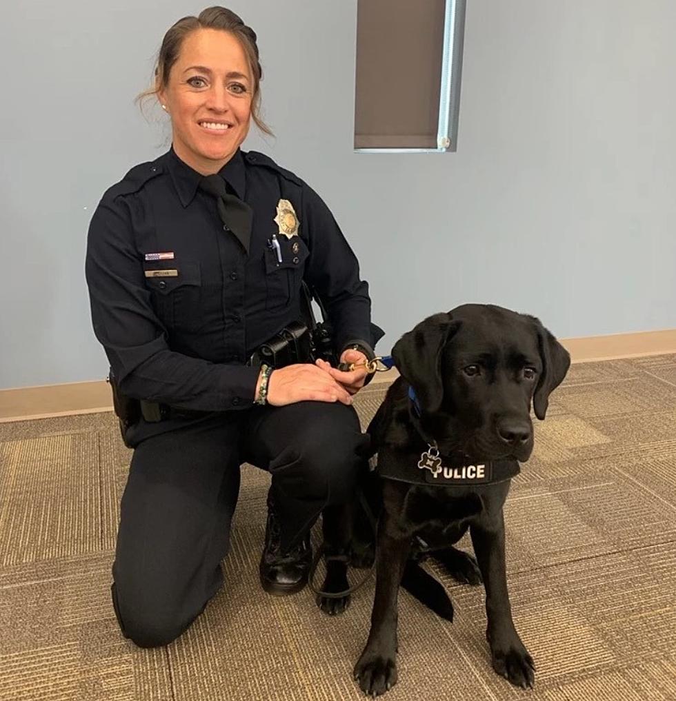 Meet The Newest (And Cutest) Addition To The Denver Police Dept. 