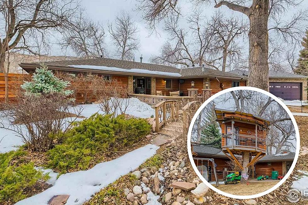 $1.6 Million House On the Poudre River Has a Treehouse Retreat