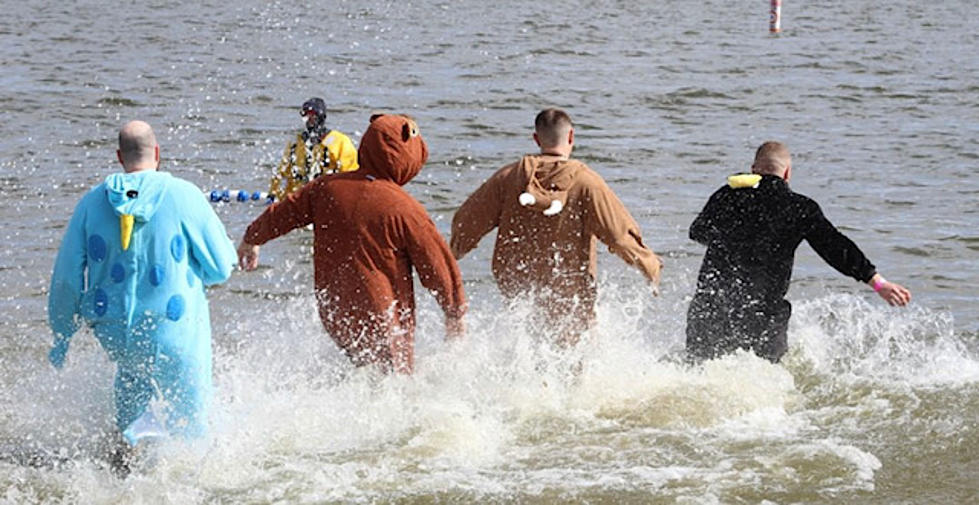 Will You Be Plunging Into Windsor Lake For This Cause?