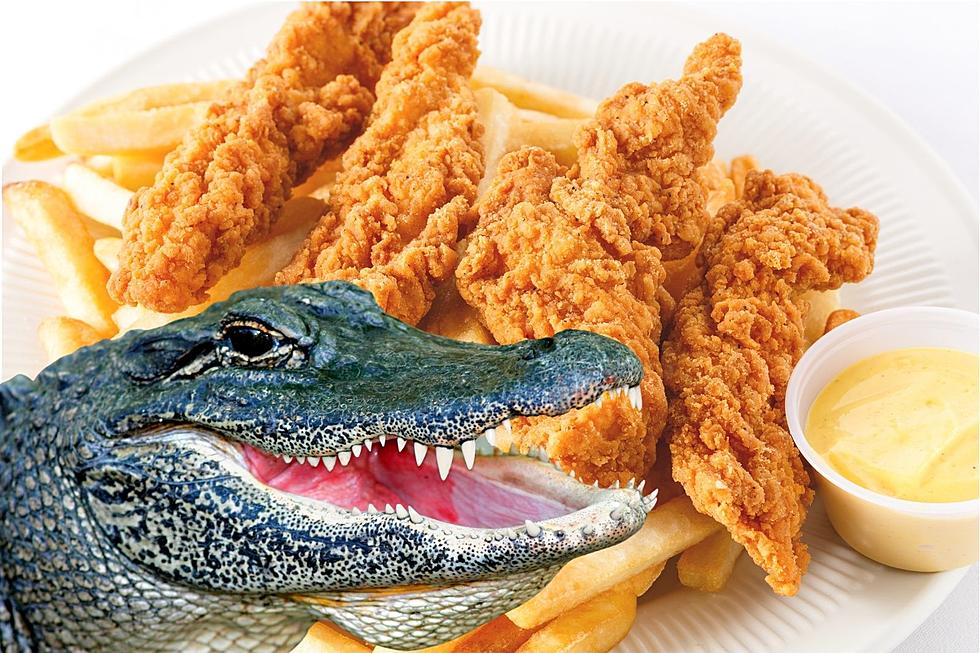 5 Restaurants Where You Can Order Alligator in Colorado