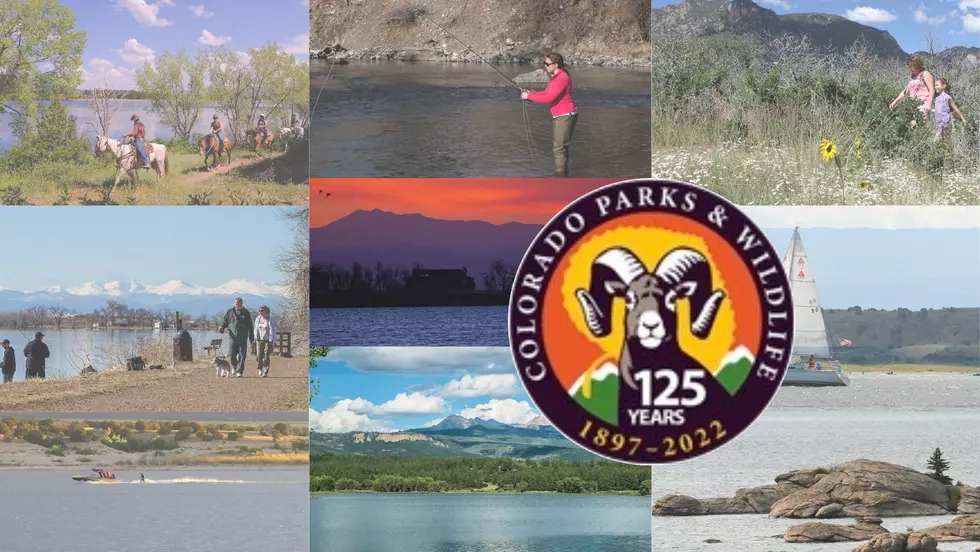 Celebrate Colorado Day With Free Admission To State Parks August 1