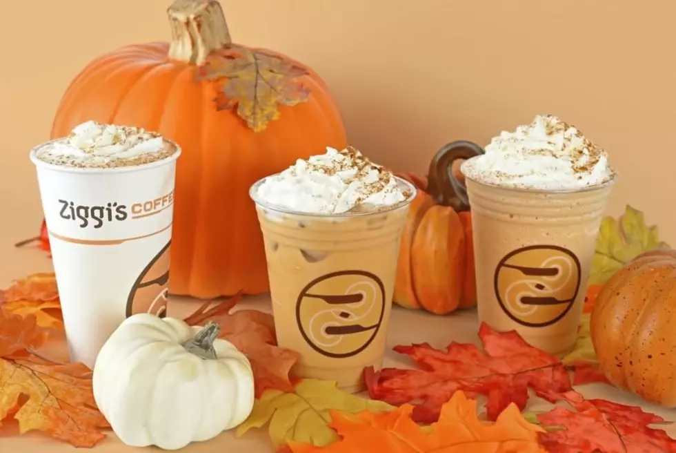 Colorado’s Own Ziggi’s Coffee Unveils Their Fall And Pumpkin Menu