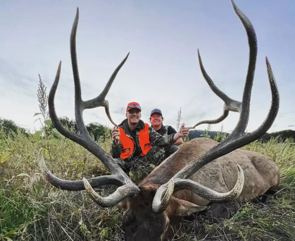 Parker McCollum Scores A Massive Bull Elk In Colorado
