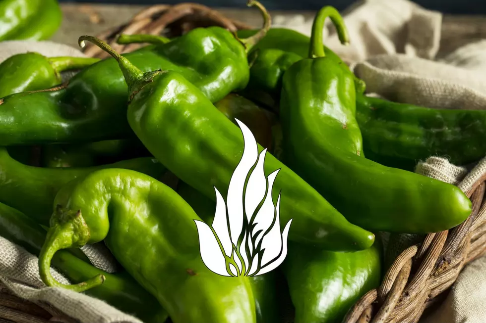 Get the Best Roasted Green Chiles in Northern Colorado