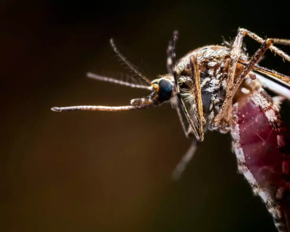 Weld County Confirms First West Nile-Related Death For 2022