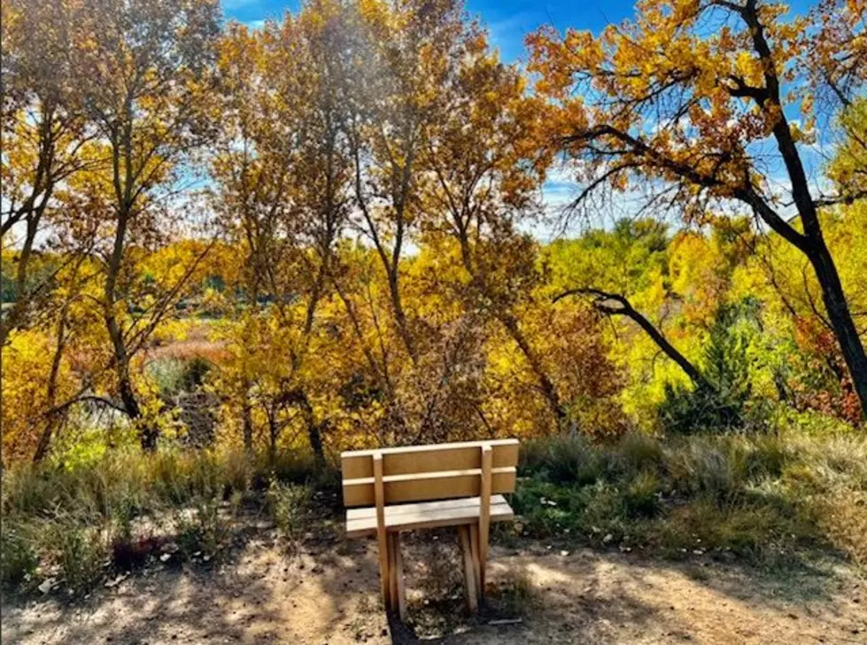 Colorado’s Hidden Gem For Fall Colors Is Here In Fort Collins