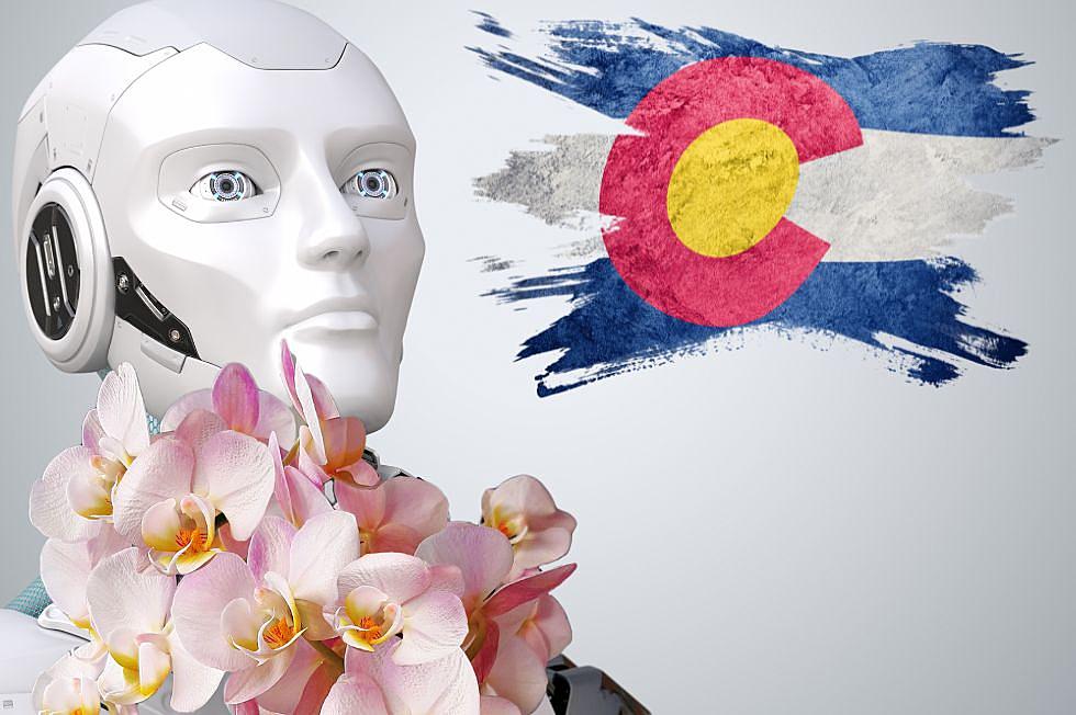 Did A Robot Really Officiate a Wedding in Colorado?