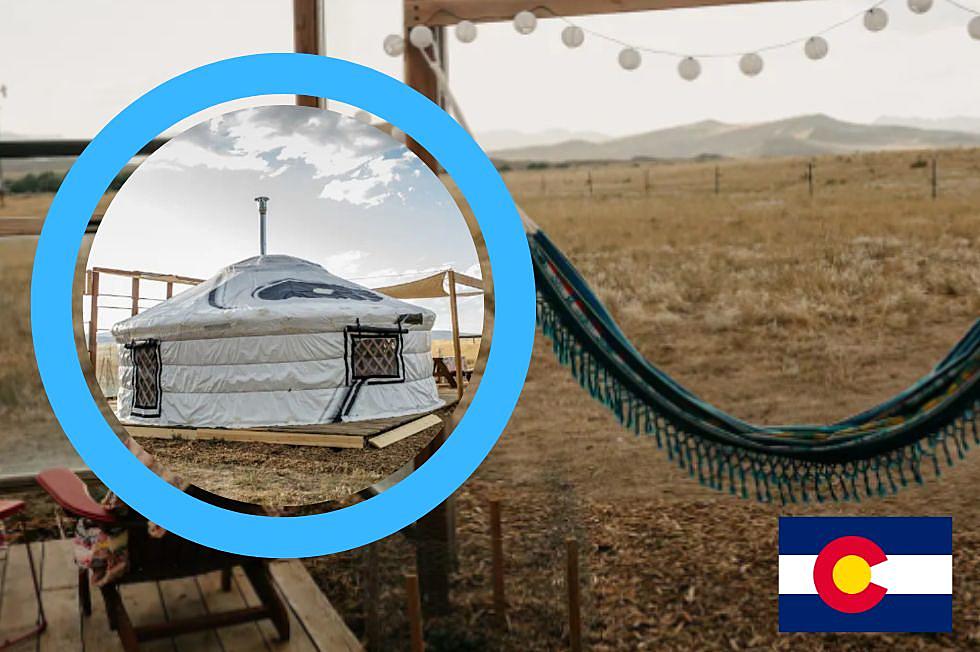 Need A Mental Break? Check Out this Yurt AirBnB in Fort Collins Colorado