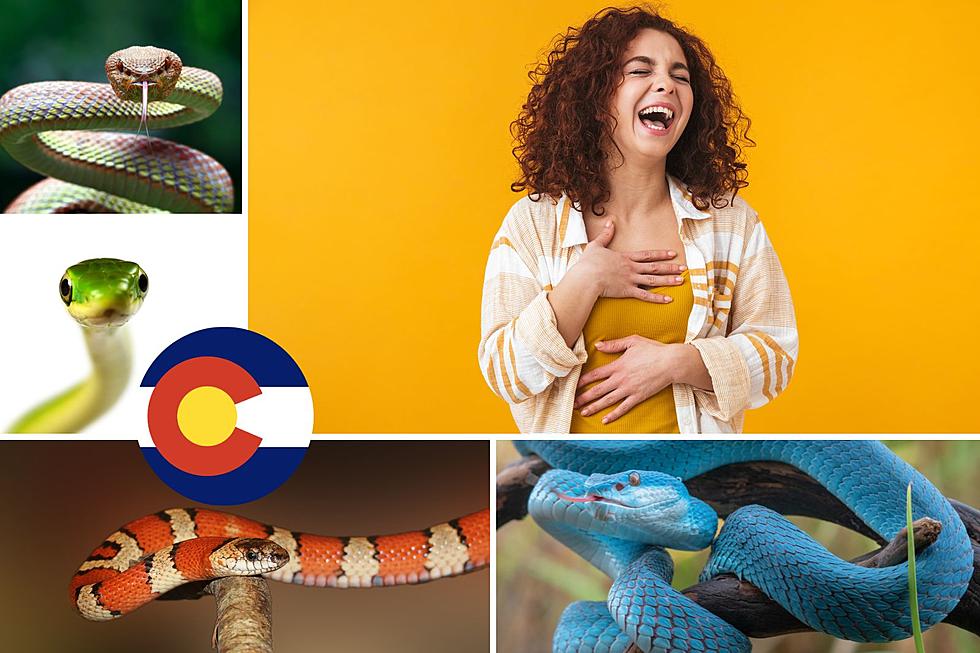 5 Hilarious Nicknames You Can Call Colorado Snakes