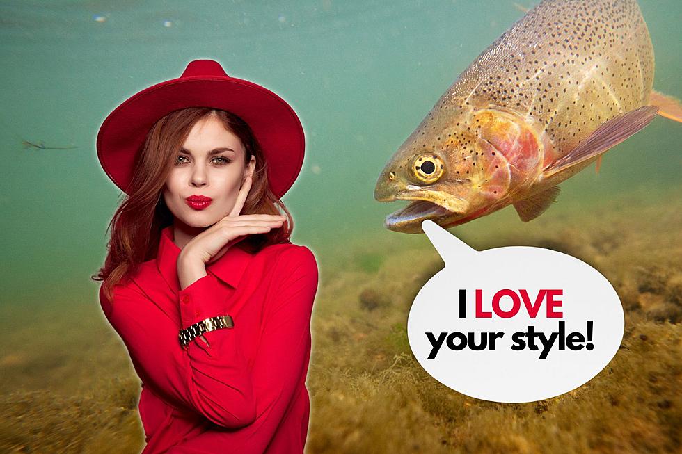 Colorado Parks and Wildlife Shows You How to Dress Like a Fish