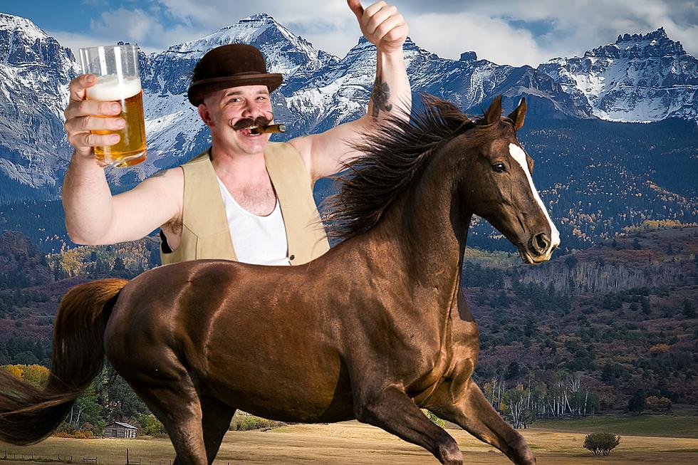 Can You Get a DUI in Colorado While Riding a Horse? Answer Revealed