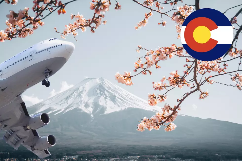 Surprised? Colorado’s Top Travel Destination for 2024