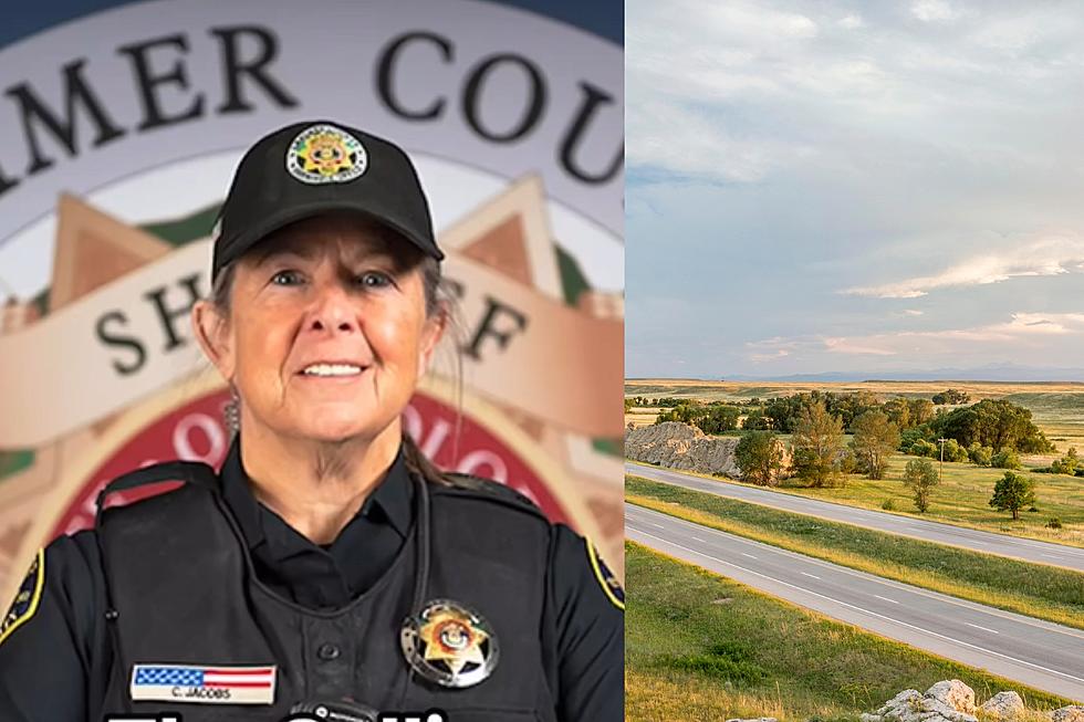 Larimer County Deputy Named USA Today's Woman of the Year 
