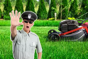 When Can You Legally Mow Your Lawn in Colorado?