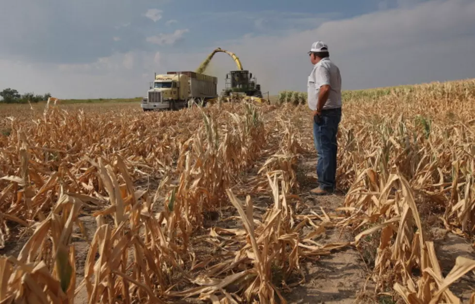 The latest On South Dakota Crops
