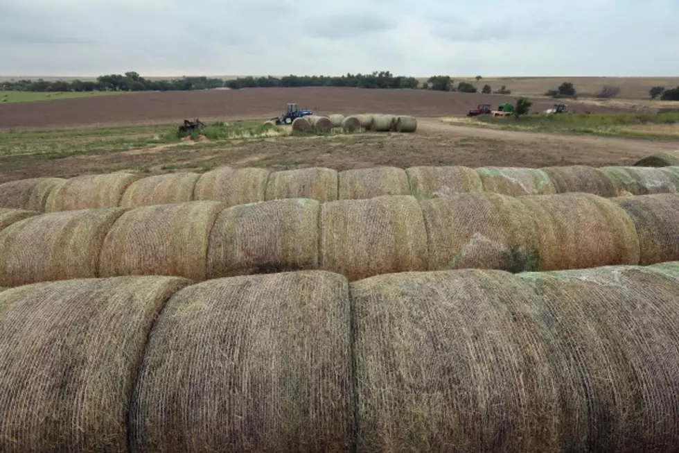 Hay Is In Tight Supply And Rising In Price