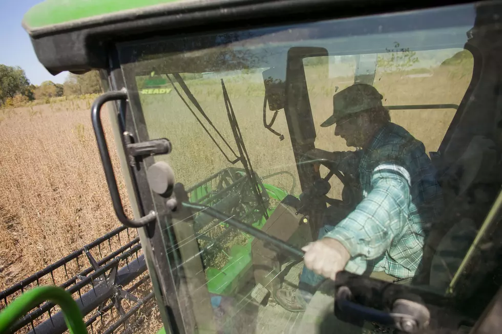 Crop Report For South Dakota Shows Corn Harvest Lagging