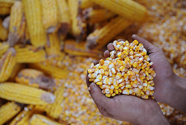 Expanding Exports a Top Issue for Corn Growers