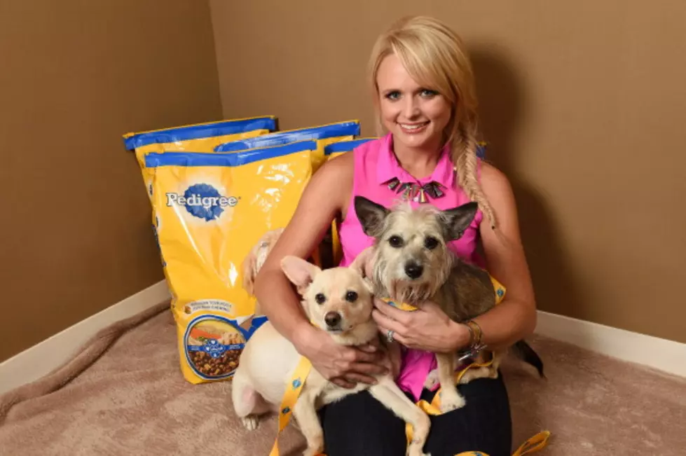 Miranda Lambert Has Teamed with Petmate to Create a Line of Dog Toys