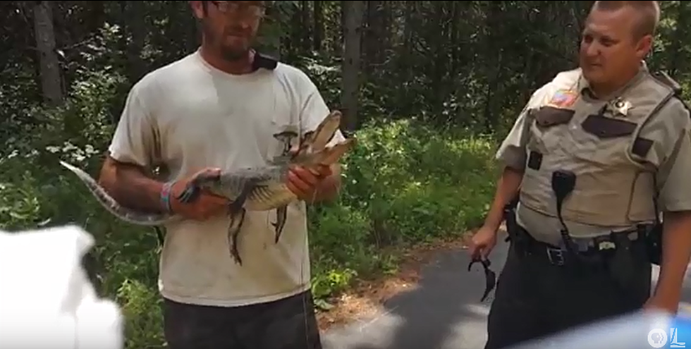 Alligator Captured on Minnesota Bike Trail