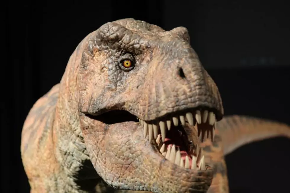South Dakota Unearths New (Old) Dinosaur