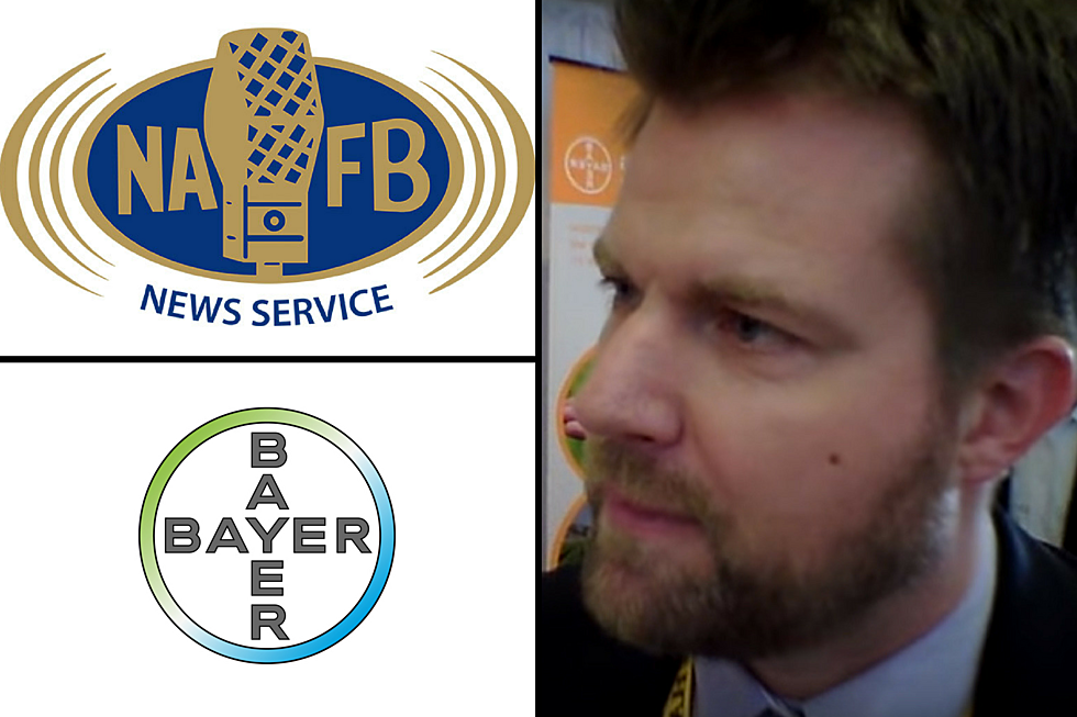 2017 NAFB Convention: Thorsten Schwindt on Raising Yields