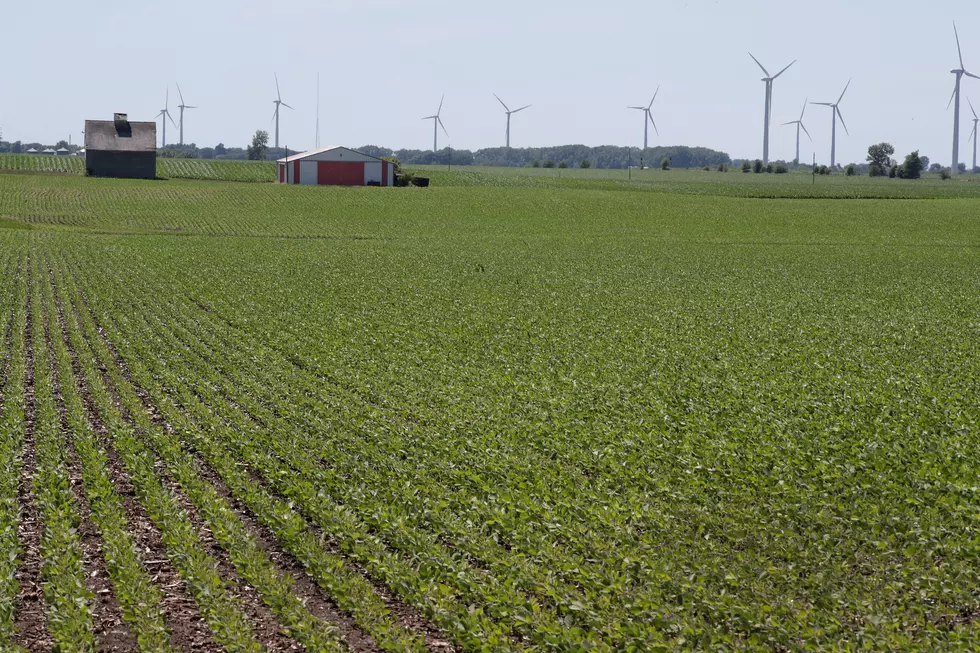 Record Soybean Acres in South Dakota
