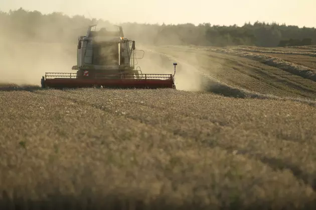Small Grains Harvest in the Final Stages in South Dakota