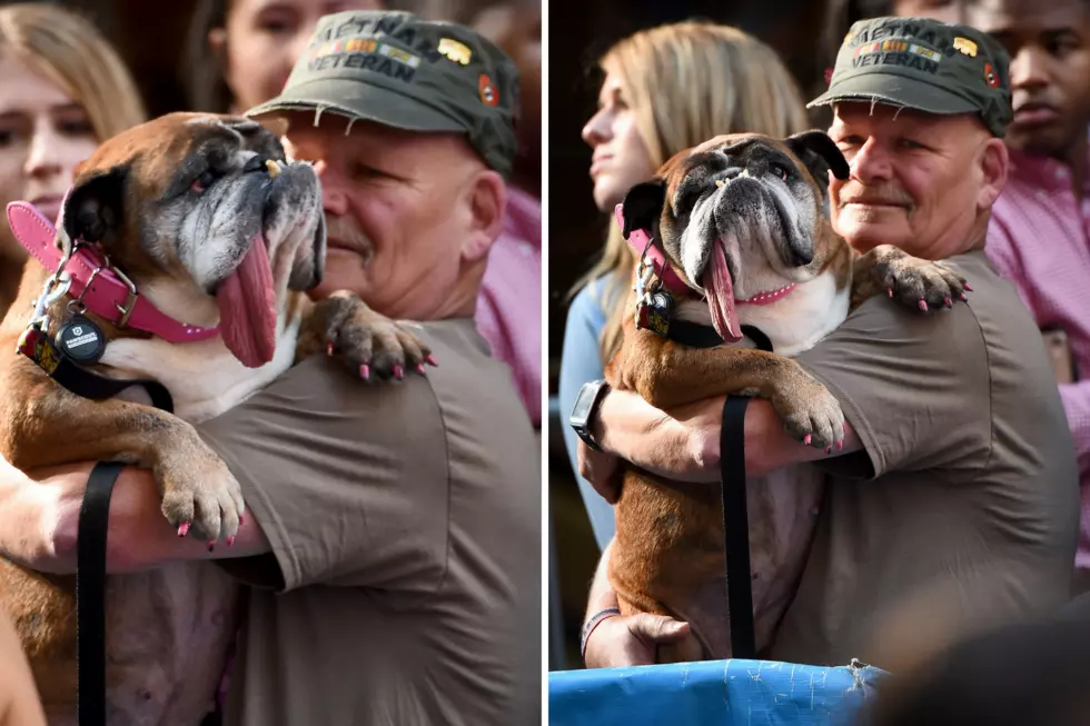 Zsa Zsa, World’s Ugliest Dog, Has Died