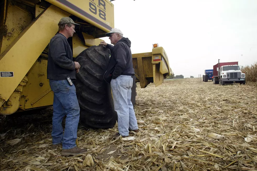 Corn Growers: Here’s a Chance to Take Action
