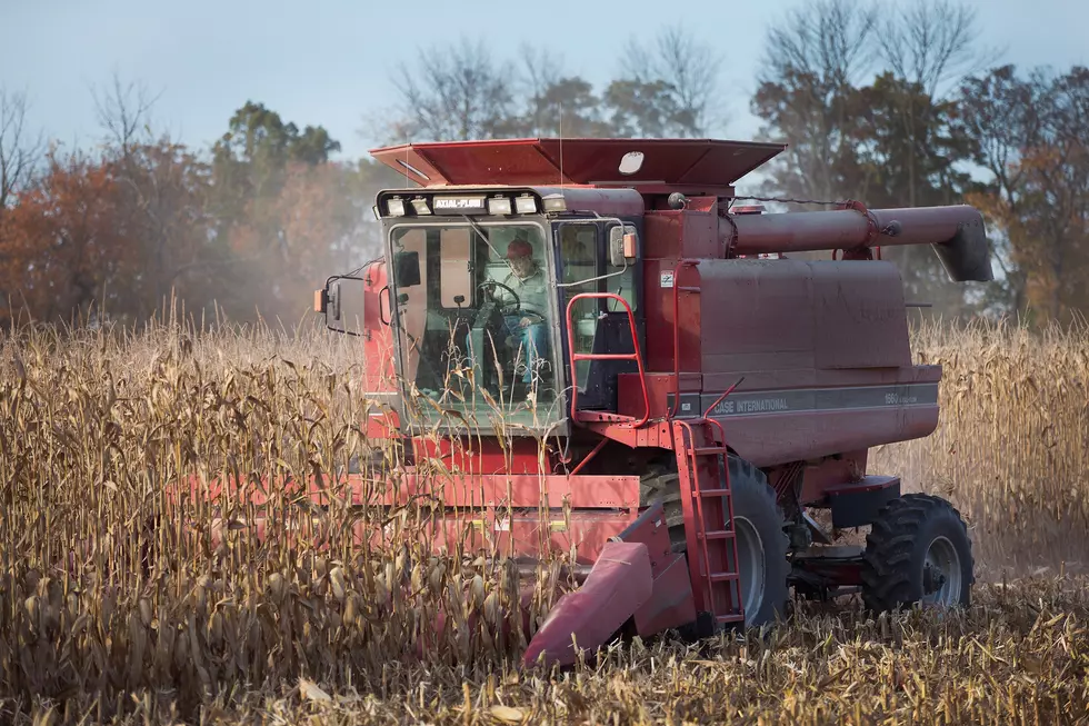 Corn Harvesting Underway In South Dakota