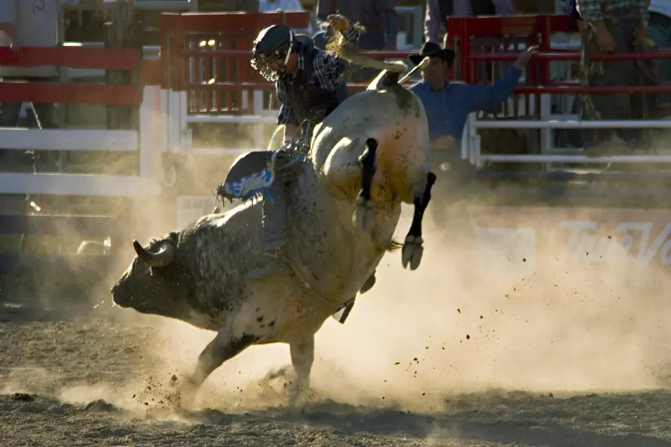 Ride ‘Em Cowboy! Bulls And Broncs February 8 And 9, 2019