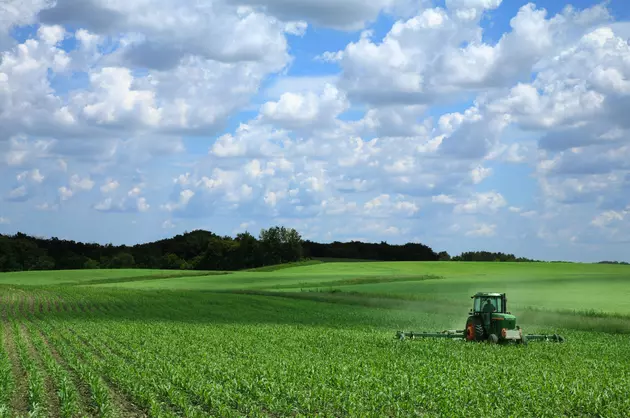 Agriculture Report Shows Fewer but Larger Farms in US