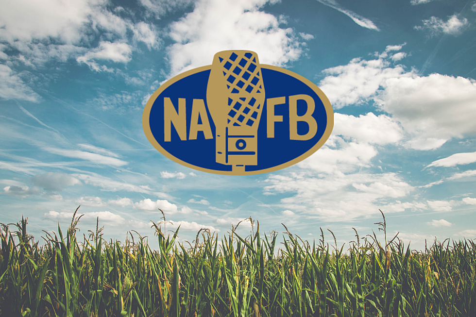 2019 NAFB Convention: Paula Halabicki Talks About BASF