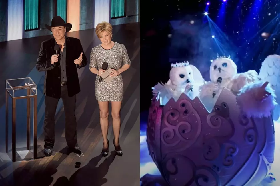 My Guess For The Singing Owls....Clint Black and Lisa Hartman