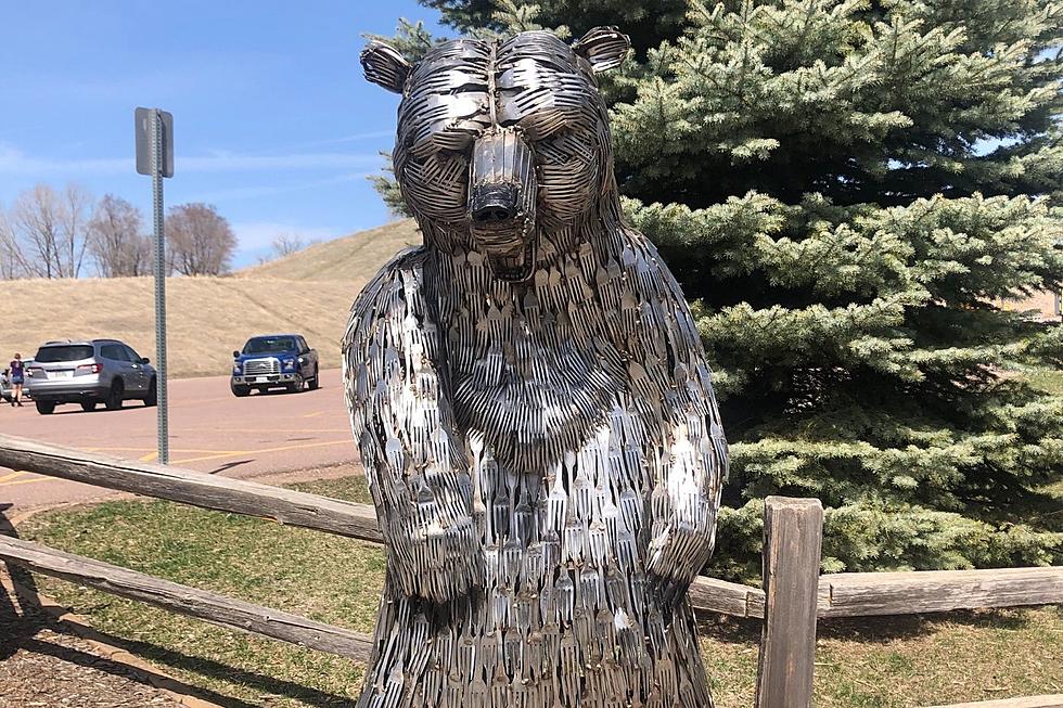 Did You Know Great Bear In Sioux Falls Is Not Just For Skiing?