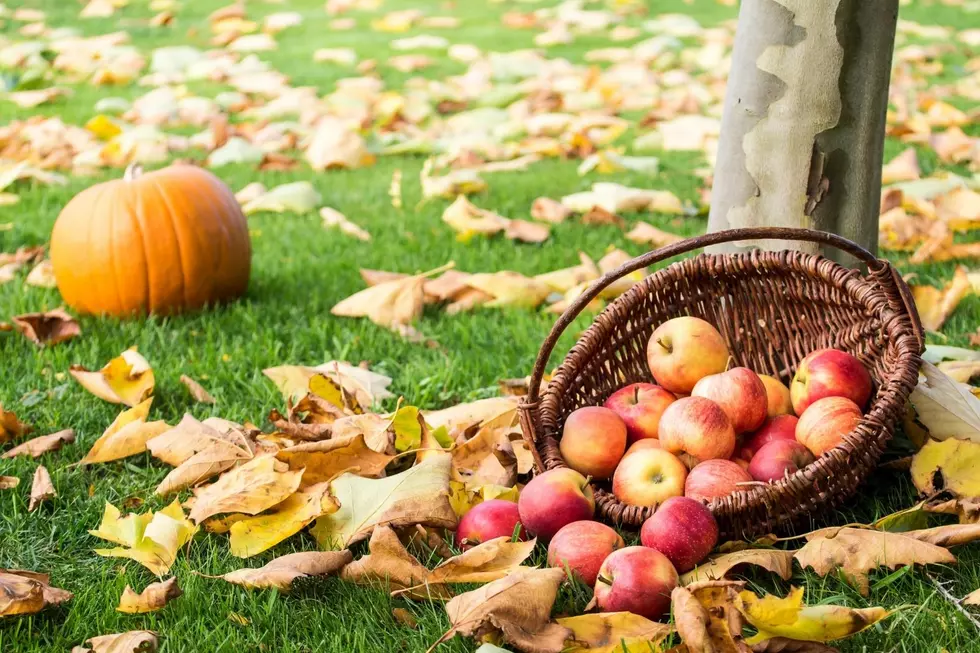 The Best Place For Apple Picking In South Dakota