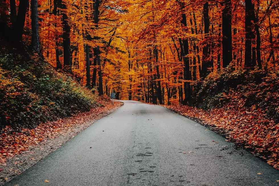 Minnesota's Most Scenic Drive is the Perfect Fall Road Trip