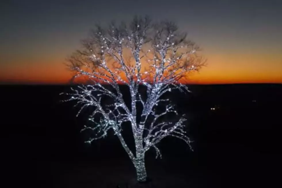 Iowa’s Favorite Christmas Tree Has Over 80,000 Lights