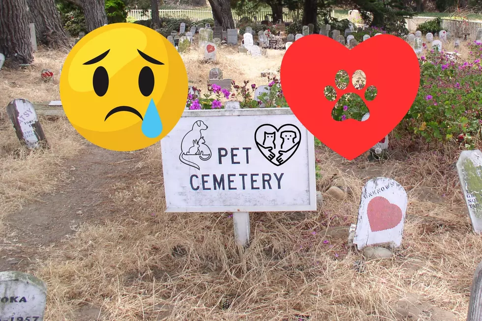 Does Sioux Falls Have A Pet Cemetery?