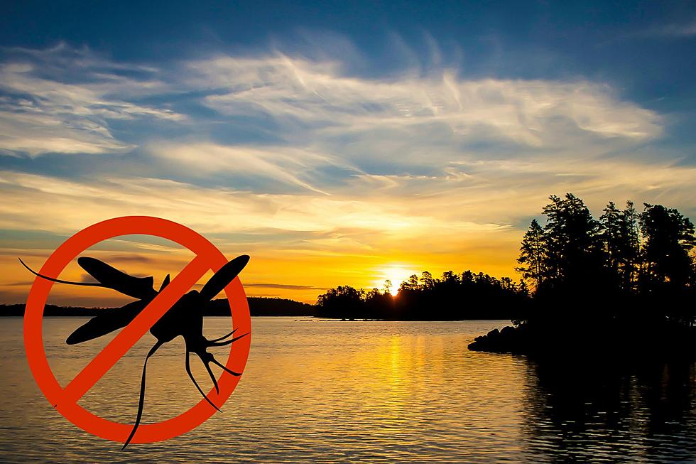 Experts Predict Where in Minnesota Mosquitoes Will be the Worst